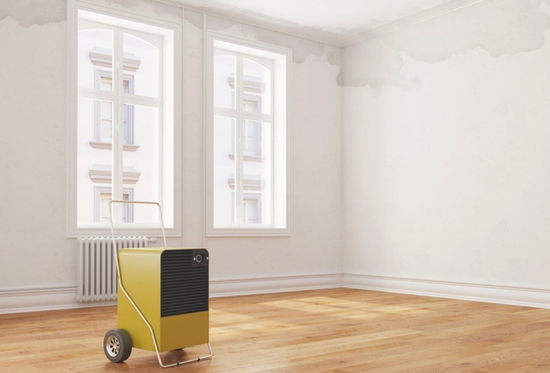 la renta es lo m�s importante a considerar