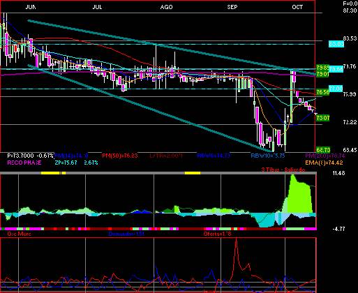 gr�fica t�cnica de ienova