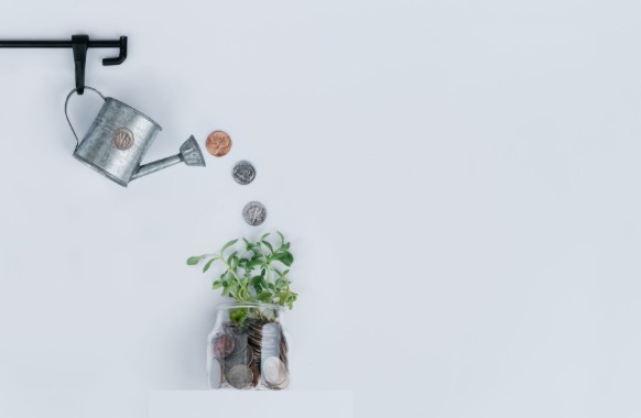 subcuentas de aportaciones voluntarias